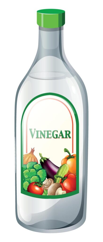 white vinegar for ants