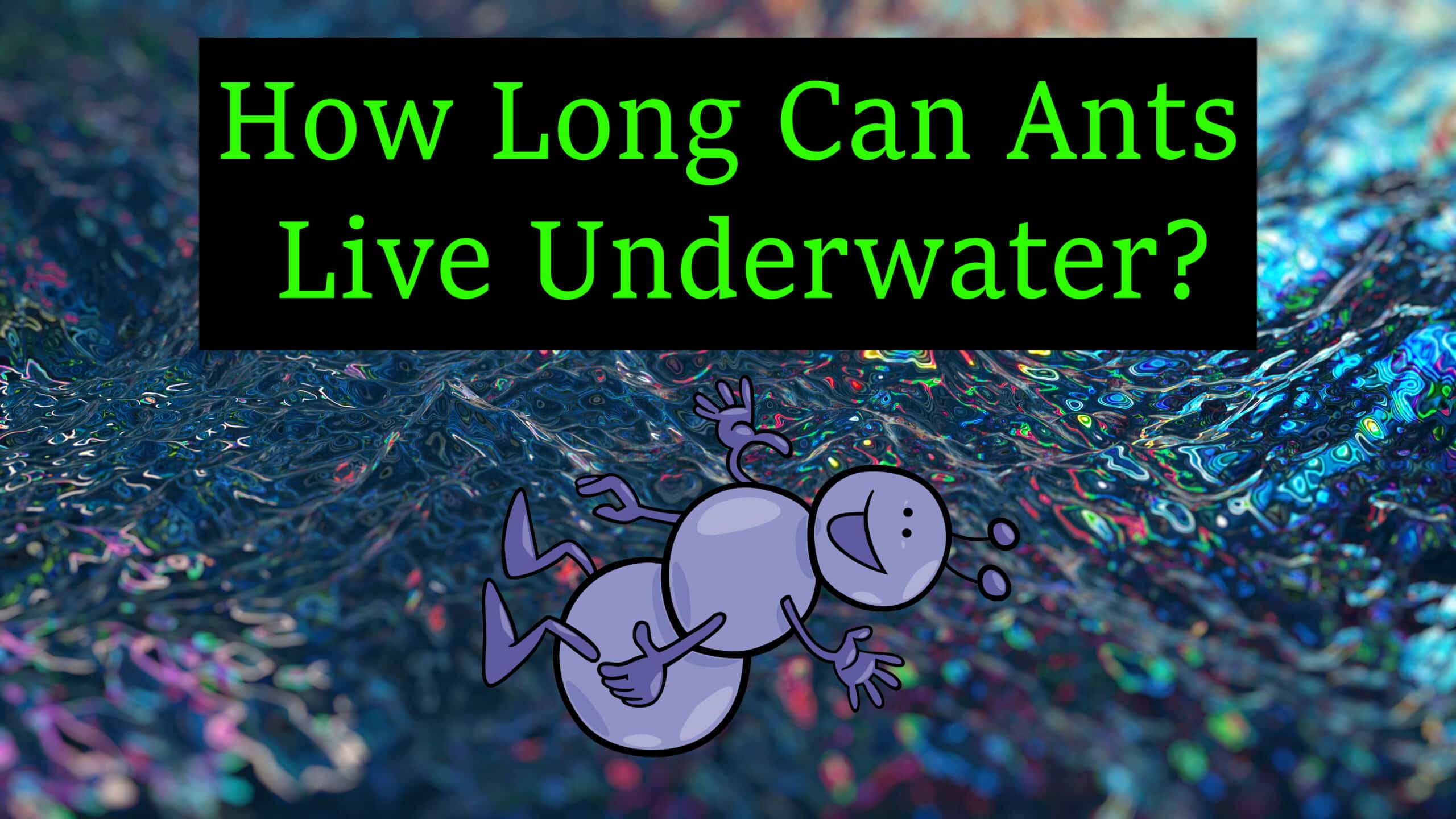 how long can ants live underwater