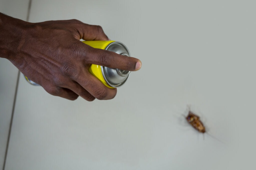 spraying a cockroach