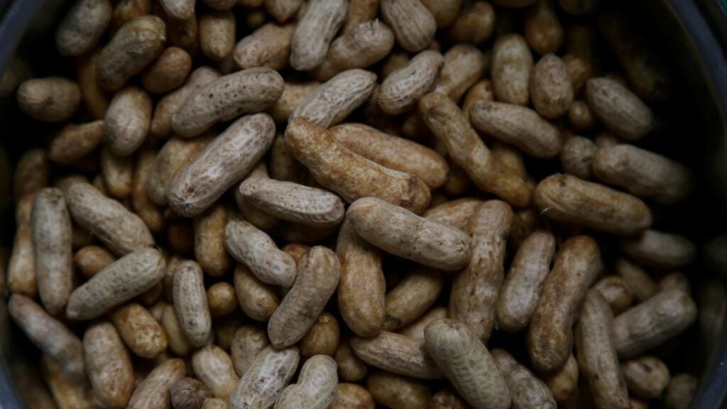 batch of peanuts
