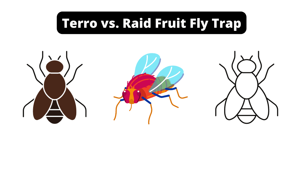 Terro vs. Raid Fruit Fly Trap