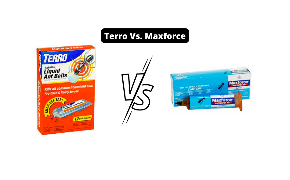 Terro vs Maxforce