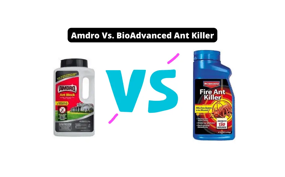 Amdro Vs. BioAdvanced Ant Killer