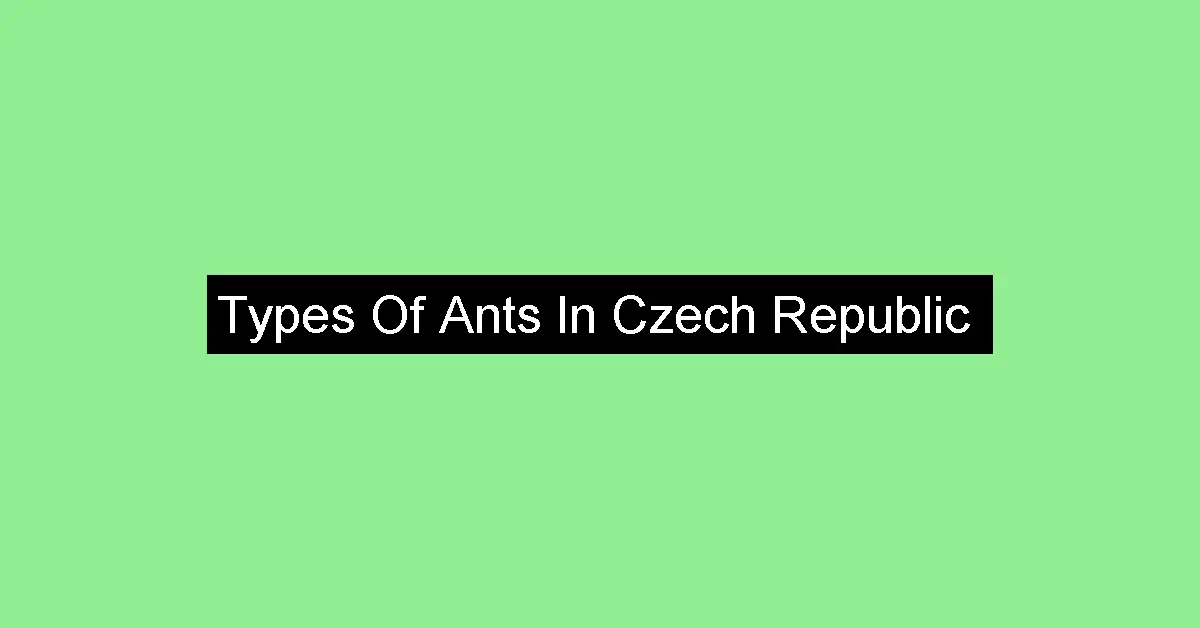 Types Of Ants In Czech Republic The Ant Keeper